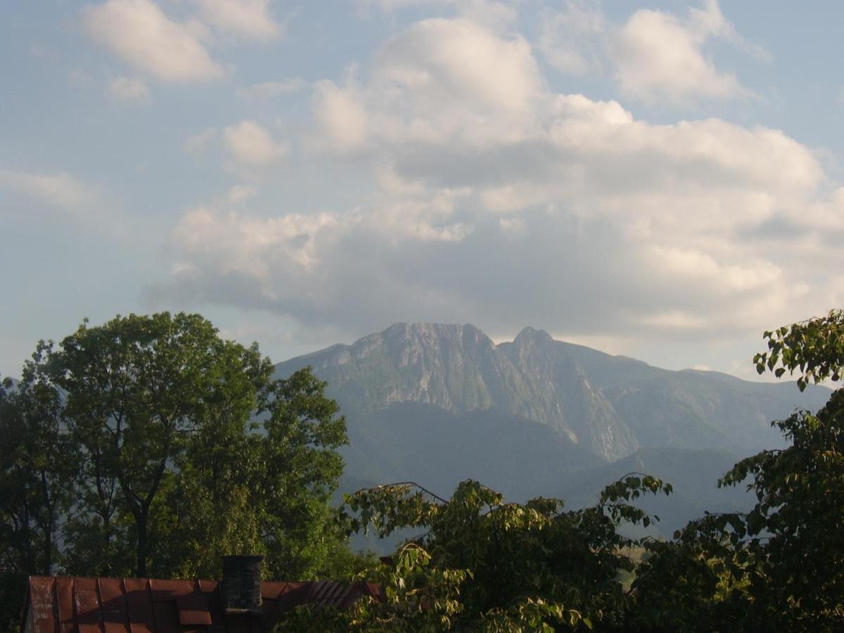 Willa U Kasi Zakopane Kültér fotó